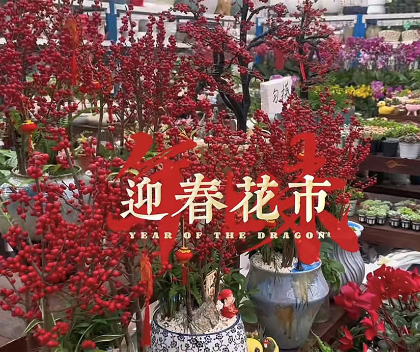 微信图片_20250304160844_副本.jpg