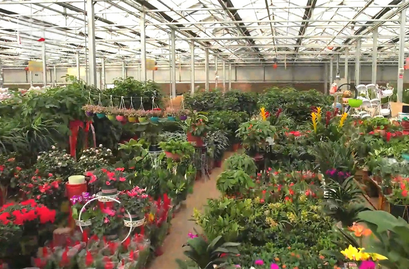 3花卉市场_副本.jpg