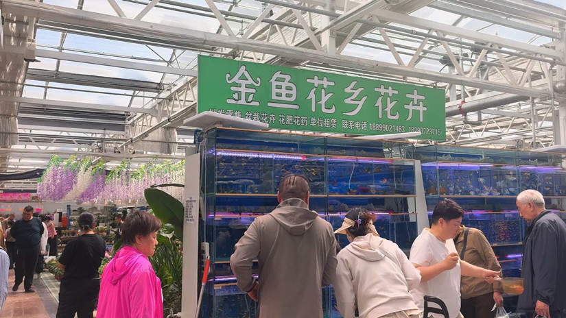 微信图片_20260522191021_164_343_副本.jpg